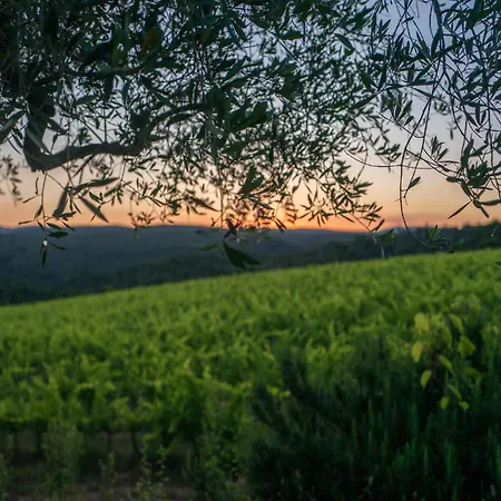 Casa Attilio Casa vacanze