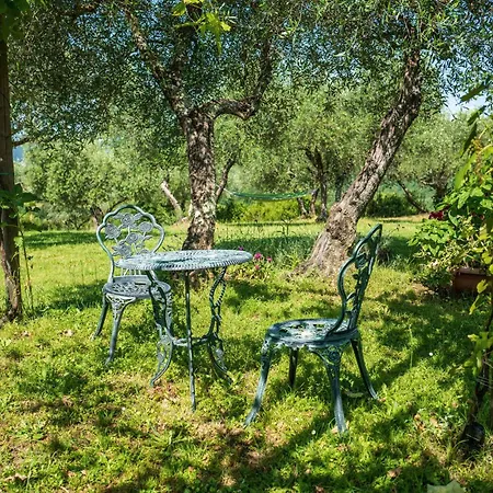 Casa Attilio * Siena