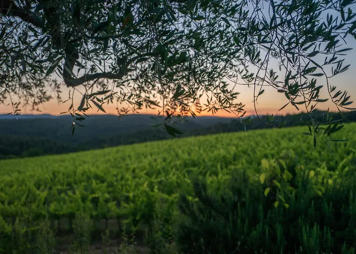 Casa Attilio Dom wakacyjny